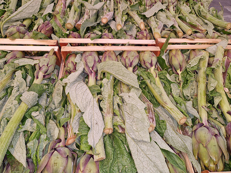 Carciofi - 0,85/0,90 euro al capolino